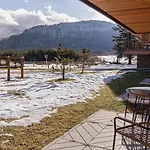 Daire Enklawa Polany, Sun & Snow